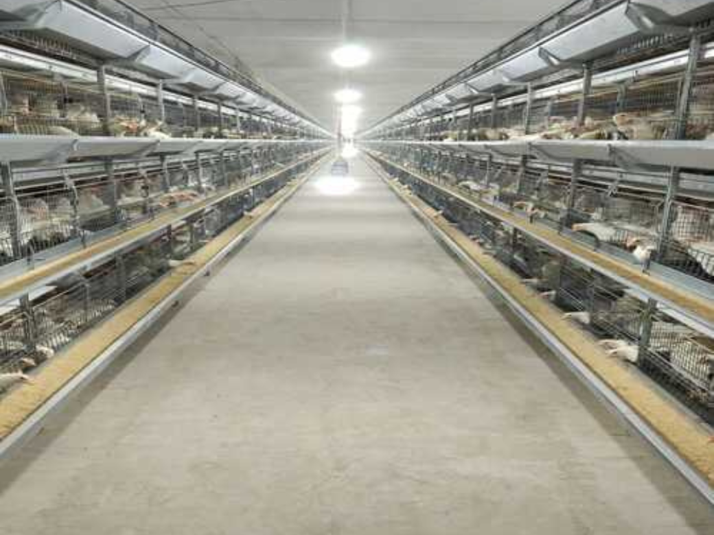 Breeder farming systems