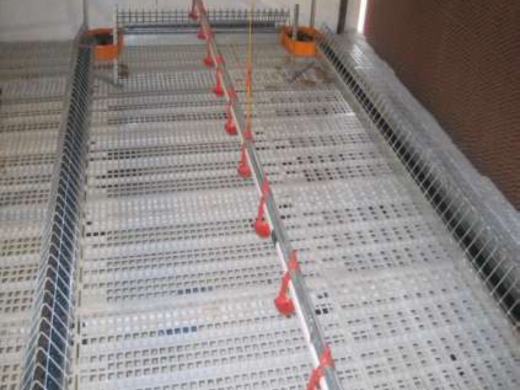 Chain feeding system